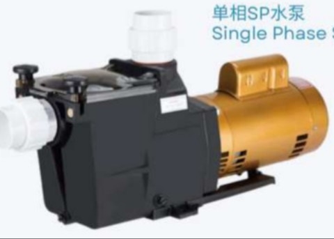 2023 SP1005 1HP Pompes à eau pour piscine