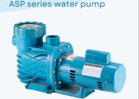 ASP100 Pompes à eau pour piscine