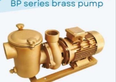 BP30 Pompes à eau pour piscine