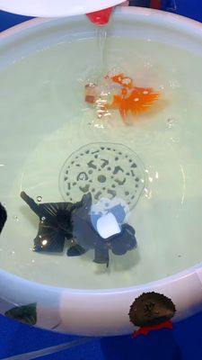 Cuvette en céramique chinoise de poissons du modèle 520mm de pivoine avec la lampe
