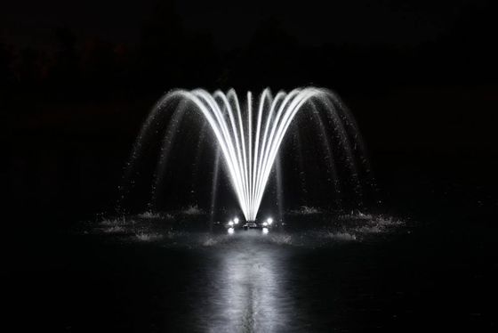 Jewel la couronne des têtes de jet de caractéristique de l'eau de 3 pouces 3D DN80