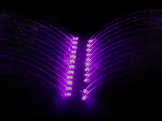Becs de fontaine de danse de l'oscillation DN50 de mouette d'acier inoxydable
