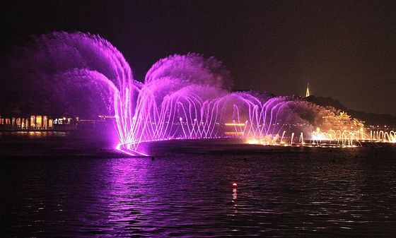Becs de fontaine de danse de l'oscillation DN50 de mouette d'acier inoxydable