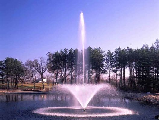 Fontaine d'eau d'acier inoxydable du jardin 800mm de conception graphique