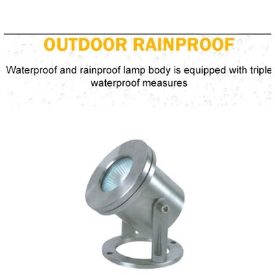 SS304 12V 3W imperméabilisent les lumières sous-marines de LED
