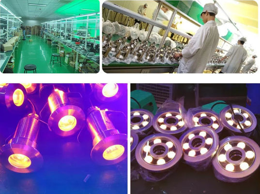 L'acier inoxydable IP68 100W imperméabilisent les lumières sous-marines de LED