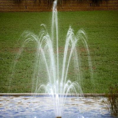 La nouvelle vente chaude 2" les 3 couches réglables en laiton fleurissent la fontaine d'eau de fleur Jet Nozzles