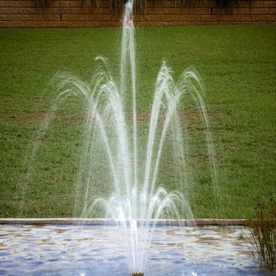 Fontaine Jet Nozzles de fleur de taille de jet de DN25 4.5m