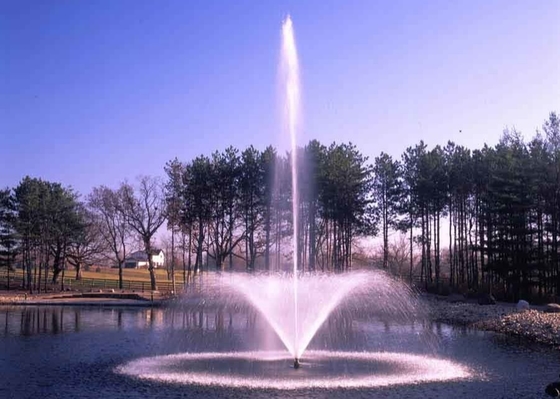 Fontaine de flottement de l'eau d'acier inoxydable avec la lampe et la pompe