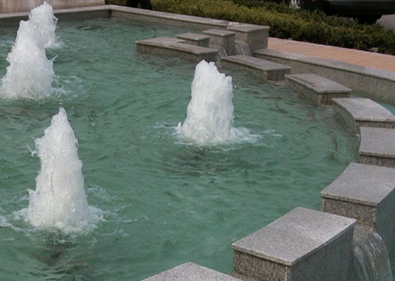 La fontaine de la danse DN65 équipe la fontaine d'un gicleur en laiton Jet Nozzle de bulle de tasse