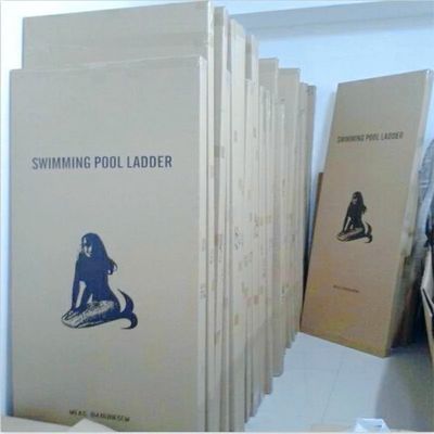 SS304 Inground Pool Ladder Steps